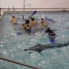 2013 » Underwater Hockey